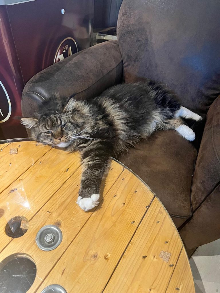 Thor 6 - la taverne du temps